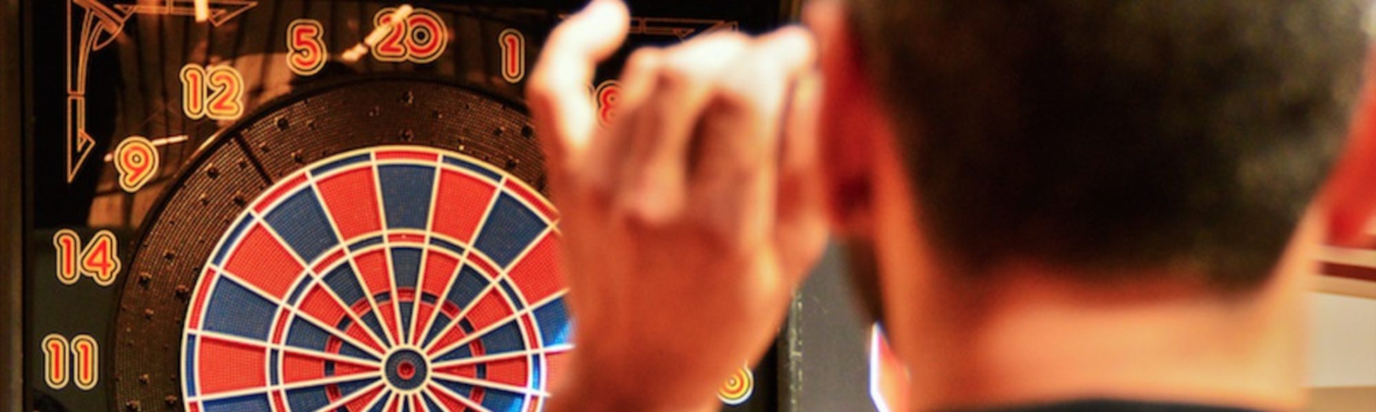 freccette; world darts federation